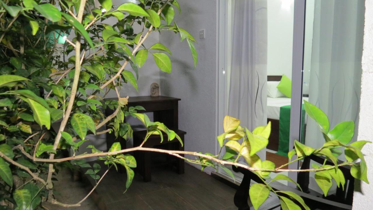 Senomaal Sigiri Resort 담불라 외부 사진